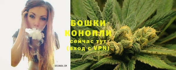 молекула духа Волоколамск