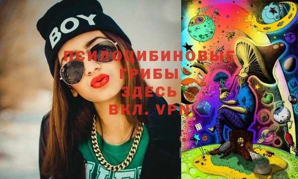 молекула духа Волоколамск