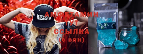 сатива Волосово