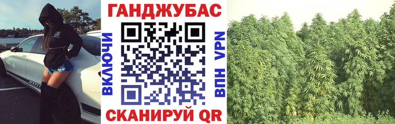 закладка  Ветлуга  Канабис марихуана 